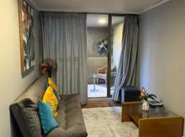 Departamento en el Corazon de Santiago