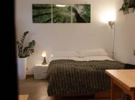 Gemütliches Studio Ohlendorf