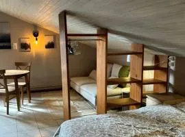 Appartement cosy avec cuisine équipée - API-1-52-760