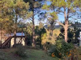 Terrazas del Pinar, Loft en bosque serrano