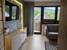 GOLD apartamenty & spa