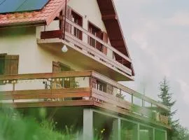 Józefówka - dom z 4 sypialniami, z balią ,dużym tarasem i pięknym widokiem na Wysową