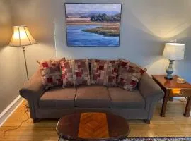 Bryn Mawr Spacious Grnd Floor Apt Free Parking