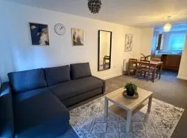 Comfy Premium Home in Town