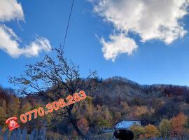 Casuta de sub munte, vila v destinaci Buzau