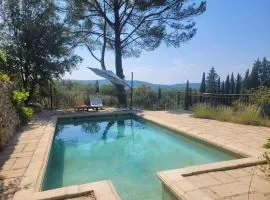 La chouette paisible