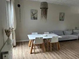 Urban Comfort Apartment