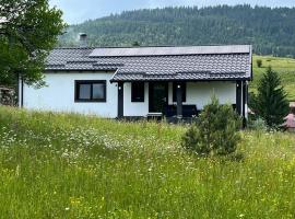 Casa Ranio, hotel in Topliţa