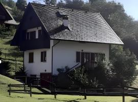 Casa vacanze Ravascletto, villa in Ravascletto
