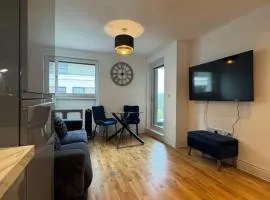 Luxury 1 bedroom Apartment, large balcony with Views Town Centre