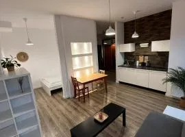 Windows to the City Stylish Apartment