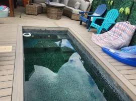 Plunge Pool Haven King bed