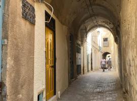 Dar Saïda Guest house, ξενοδοχείο στην Τύνιδα