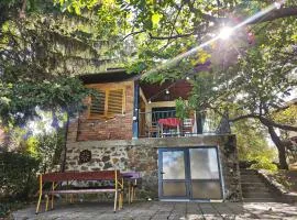 Bocke Beach House
