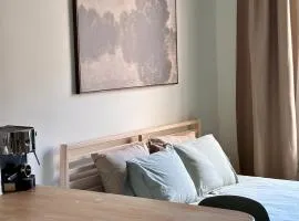 Cozy studio in the center of Helsinki