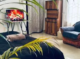 Oak & olive homestay