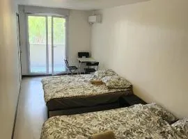 Chambre spacieuse proche centre ville