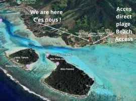 Moorea B&B