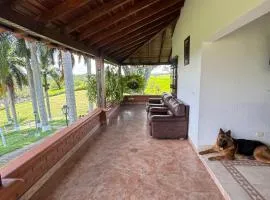 Vila colina dorada