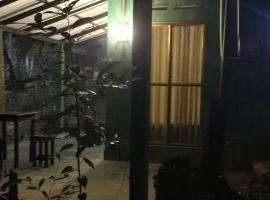 rainforest river song