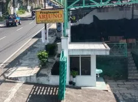Penginapan Arjuno