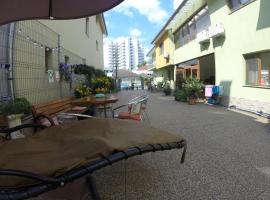 Pensiunea Silvia, accessible hotel in Baile Felix