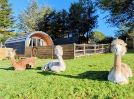 little peru luxury pods and alpaca farm