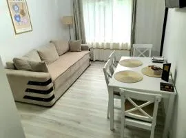 Relax Apartament Bicaz