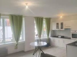 Centre Proche vieille ville et remparts-Appartement 50m2