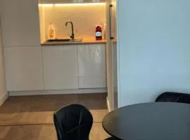 Riverside Suites with Cityscape Views Kwiatkowskiego Free Parking