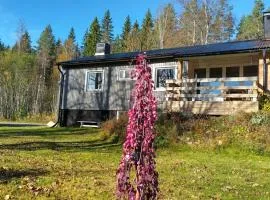 Gästhus i Röjdåfors