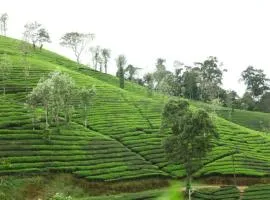 valparai home STAY LLHS