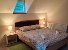 Apartman Petar, ski resort in Mokra Gora