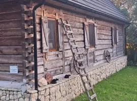 Agroturystyka LipoweWzgórze domek Danusia