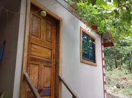 Soundgarden Kohrong Dorm