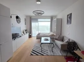 Modern Studio on the banks of the Danube