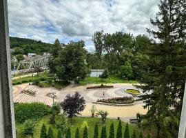 1-кімнатна квартира біля парку Чортків, hotel in Chortkiv