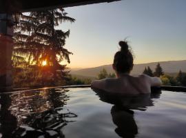 Vila Alpina Maramureș: Moisei şehrinde bir otel