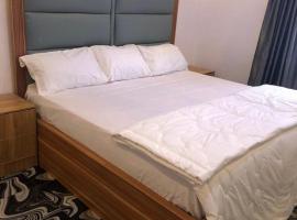 Chizyntonapartment，位于阿奴古的酒店