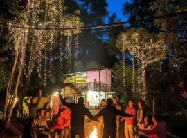 munnar Green portico Cottage MuNnAr #MUNNAR #Parking # campfire # brackfast #best budget COTTAGE MUNNAR