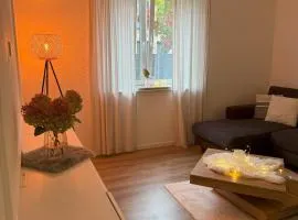 Modernes Apartment 2-Zimmer, Neubau