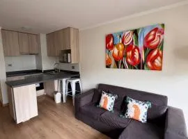 Nice apartment in Viña del Mar