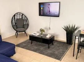 Entire Apartment Unit PLUS Private Room In Spring