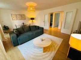 Appartement Mulhouse Centre historique