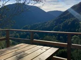 Chalet typique des Pyrénées