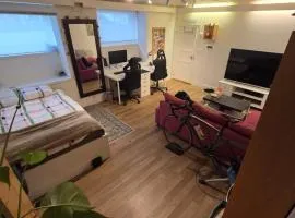 Big and cozy room in the middle of the city