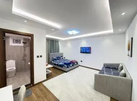 Luxury Private Room near airport