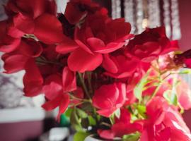 Royal Boutique Hotel, Surrey, hotel v mestu Surrey