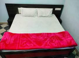 OYO Palace Hotel, hotel in Rohtak