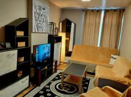 Sunny days -cozy and comfortable apartment